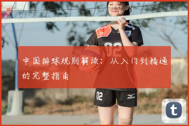 中国排球规则解读：从入门到精通的完整指南