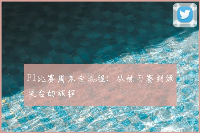 F1比赛周末全流程：从练习赛到颁奖台的旅程