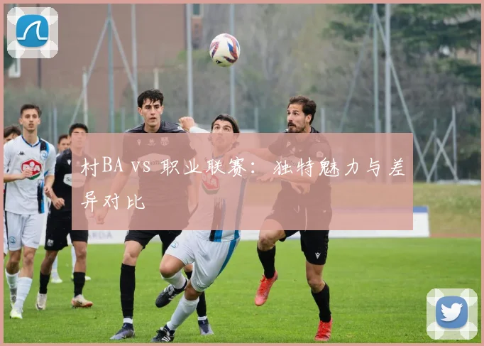 村BA vs 职业联赛：独特魅力与差异对比